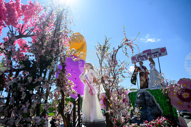 APTOPIX Cherry Blossom Festival Parade