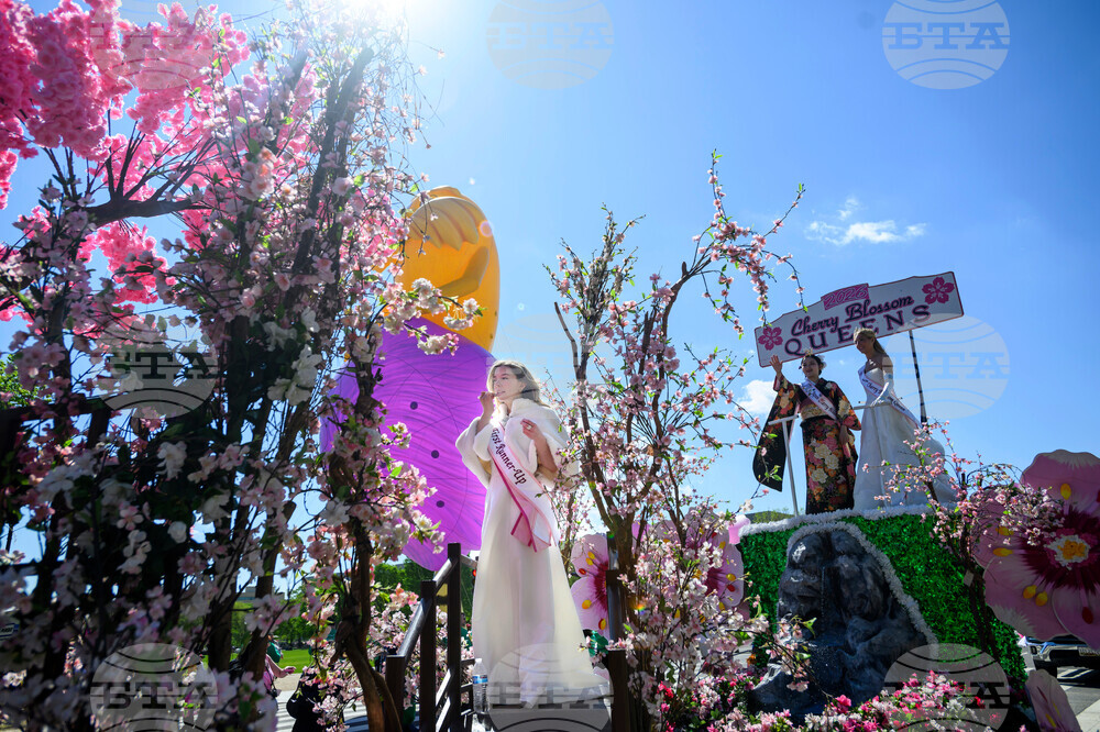 APTOPIX Cherry Blossom Festival Parade