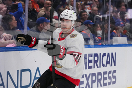 Senators Islanders Hockey