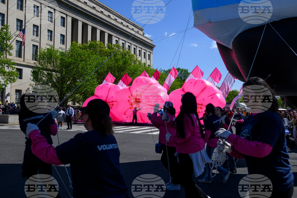 Cherry Blossom Festival Parade