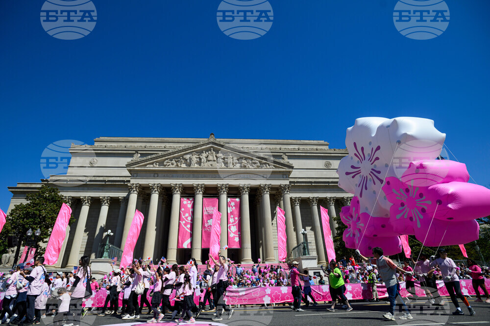 Cherry Blossom Festival Parade