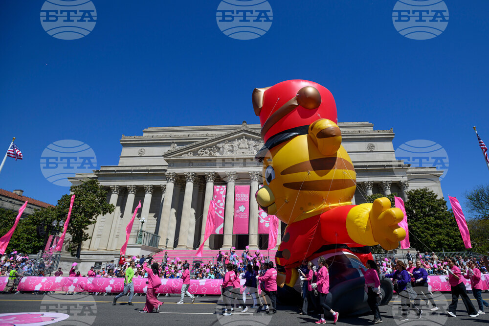 Cherry Blossom Festival Parade