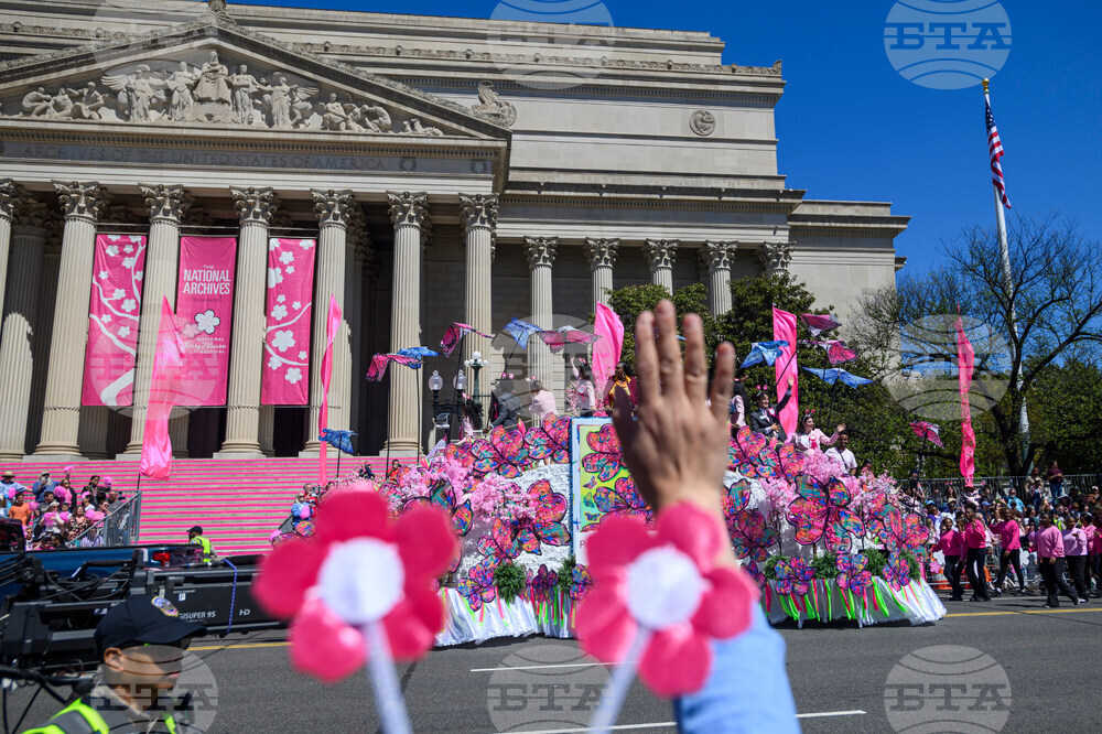 Cherry Blossom Festival Parade
