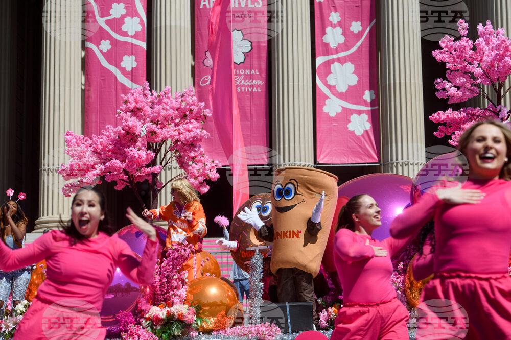 Cherry Blossom Festival Parade
