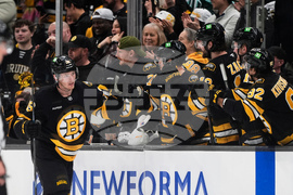 Lightning Bruins Hockey