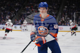 Senators Islanders Hockey