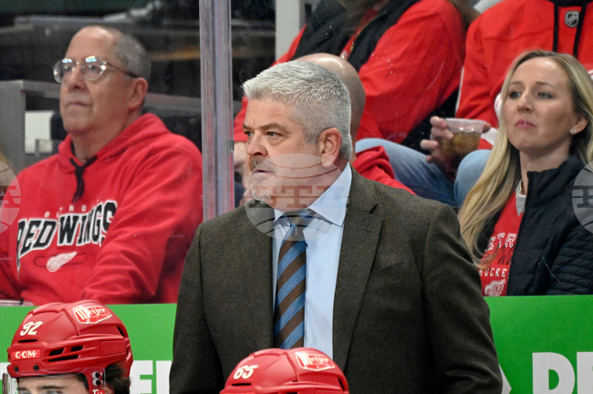 Devils Red Wings Hockey