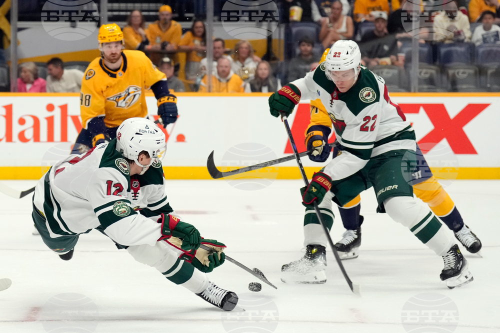 Wild Predators Hockey