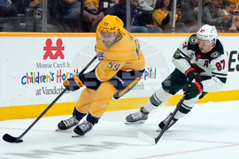 Wild Predators Hockey