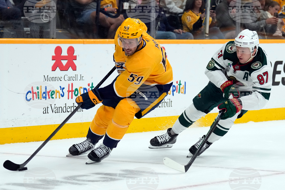 Wild Predators Hockey