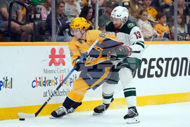 Wild Predators Hockey