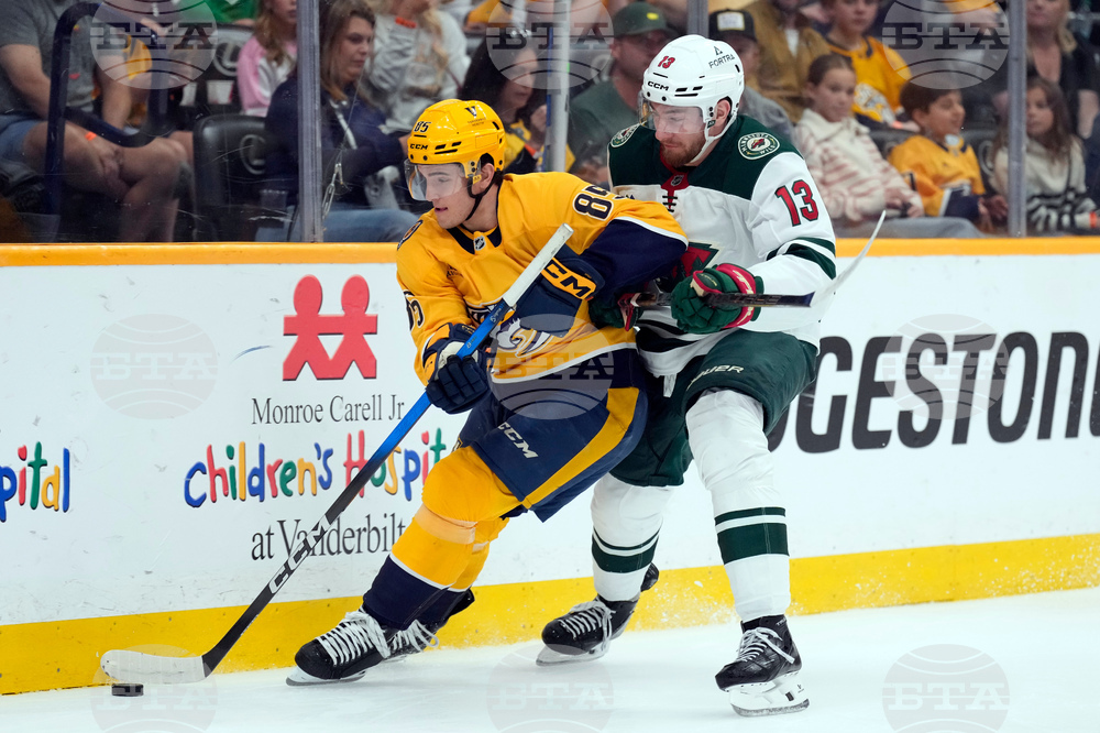 Wild Predators Hockey