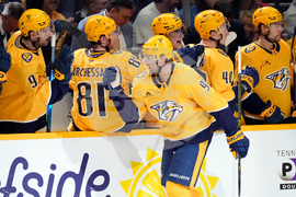 Wild Predators Hockey