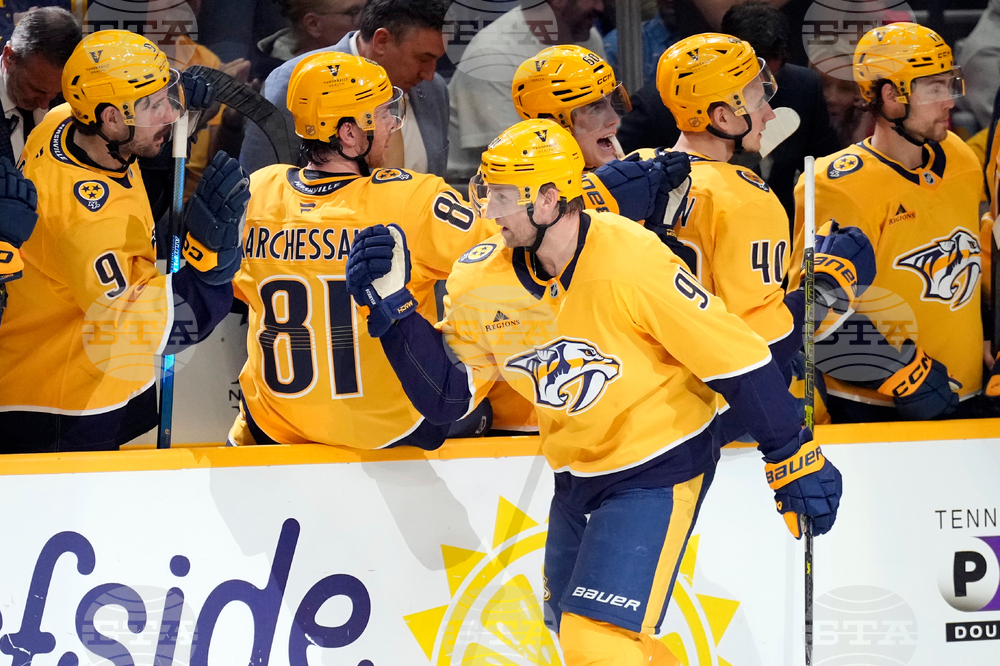 Wild Predators Hockey