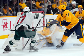 Wild Predators Hockey