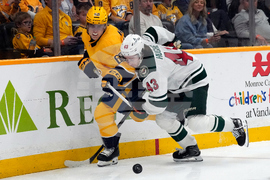 Wild Predators Hockey