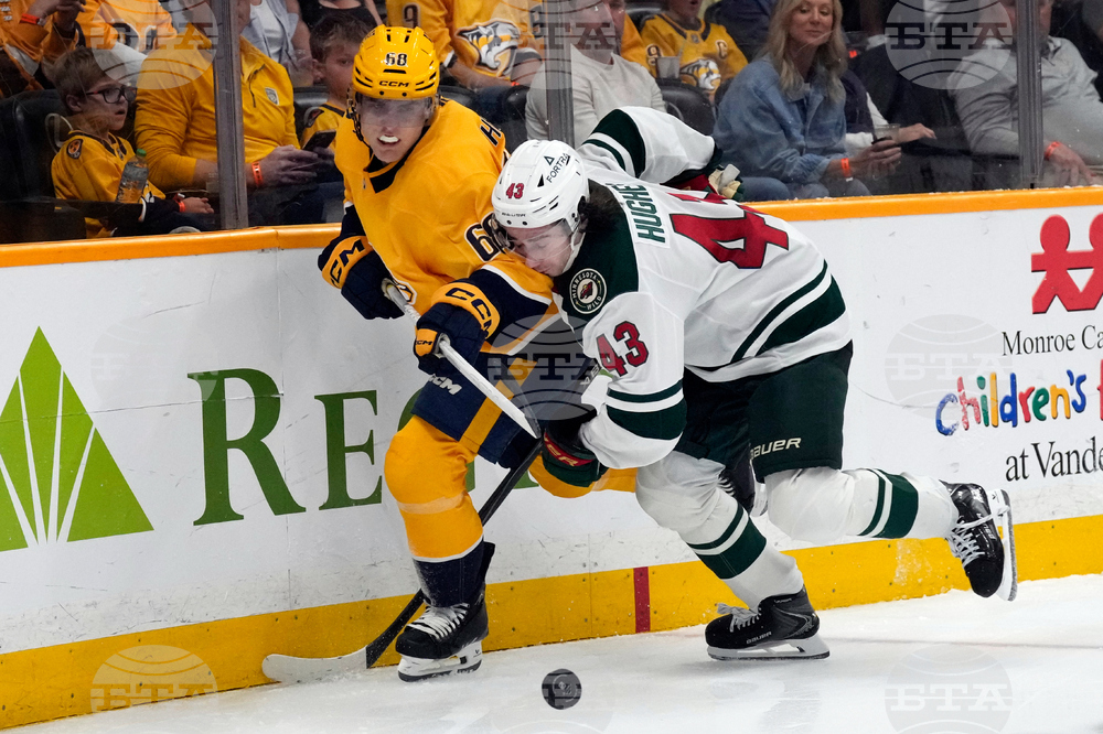 Wild Predators Hockey