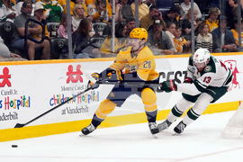 Wild Predators Hockey