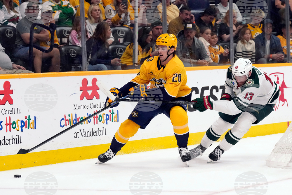 Wild Predators Hockey