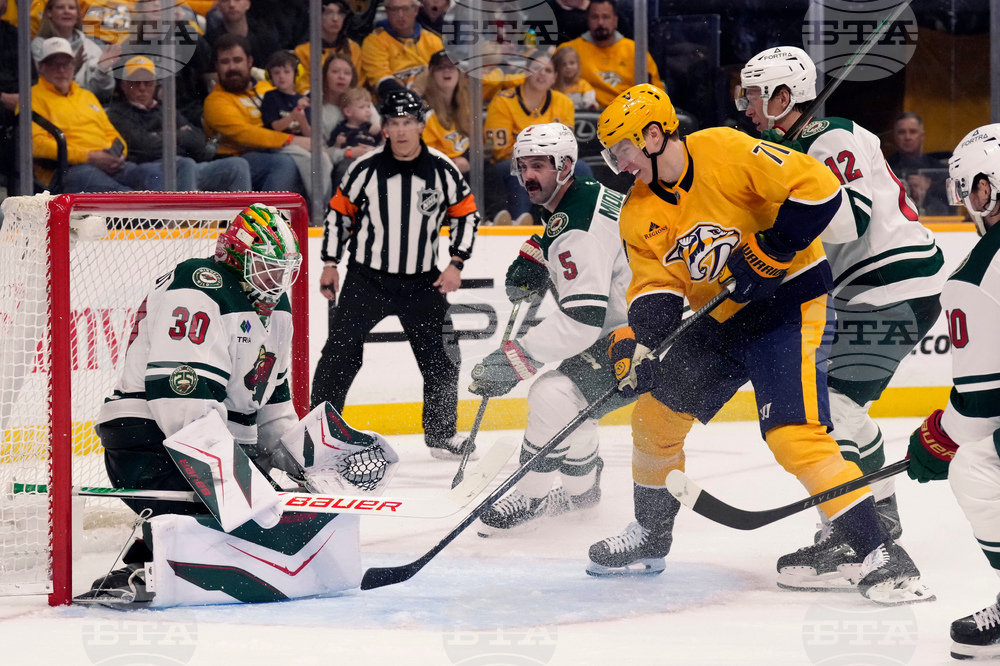 Wild Predators Hockey