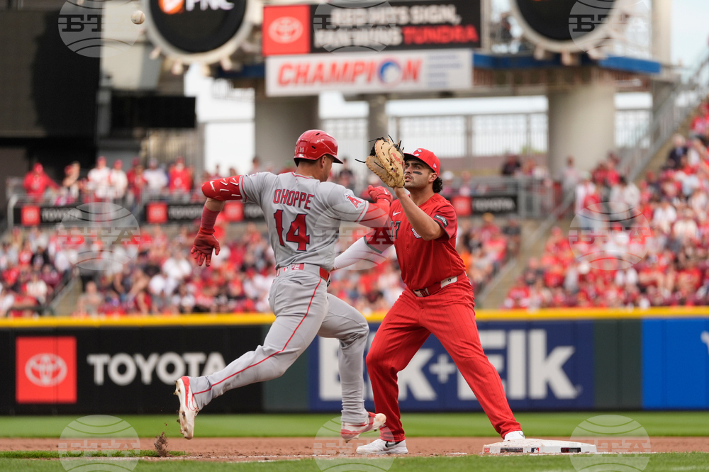 Angels Reds Baseball