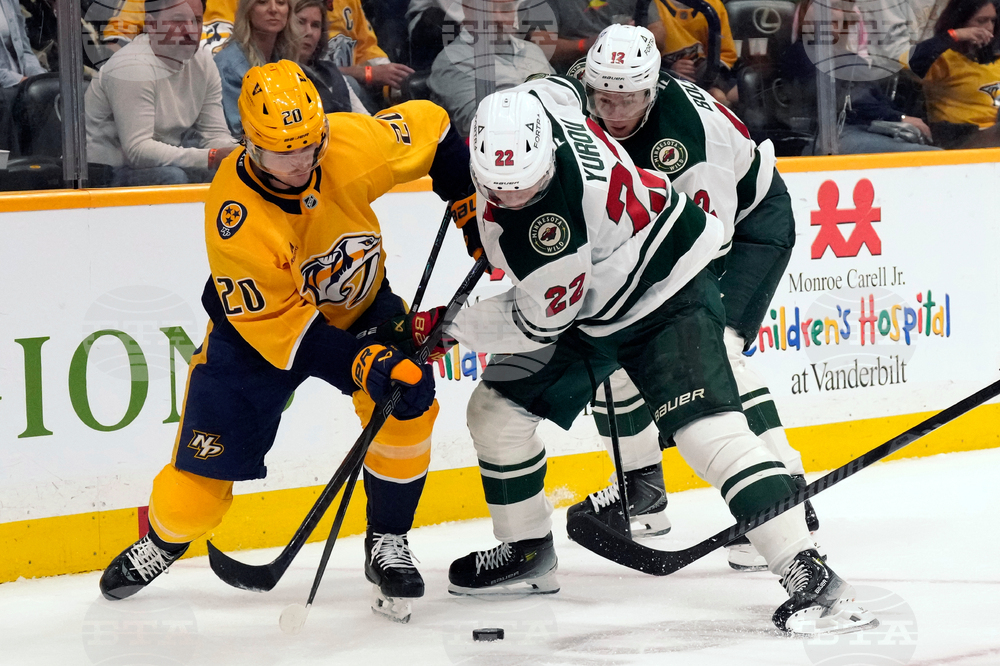 Wild Predators Hockey