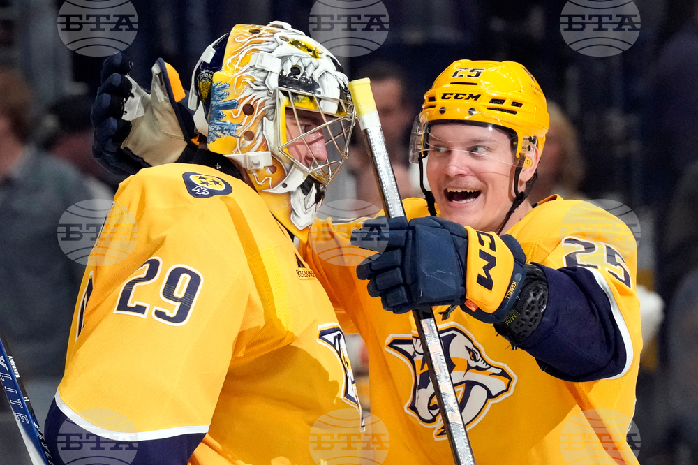 Wild Predators Hockey