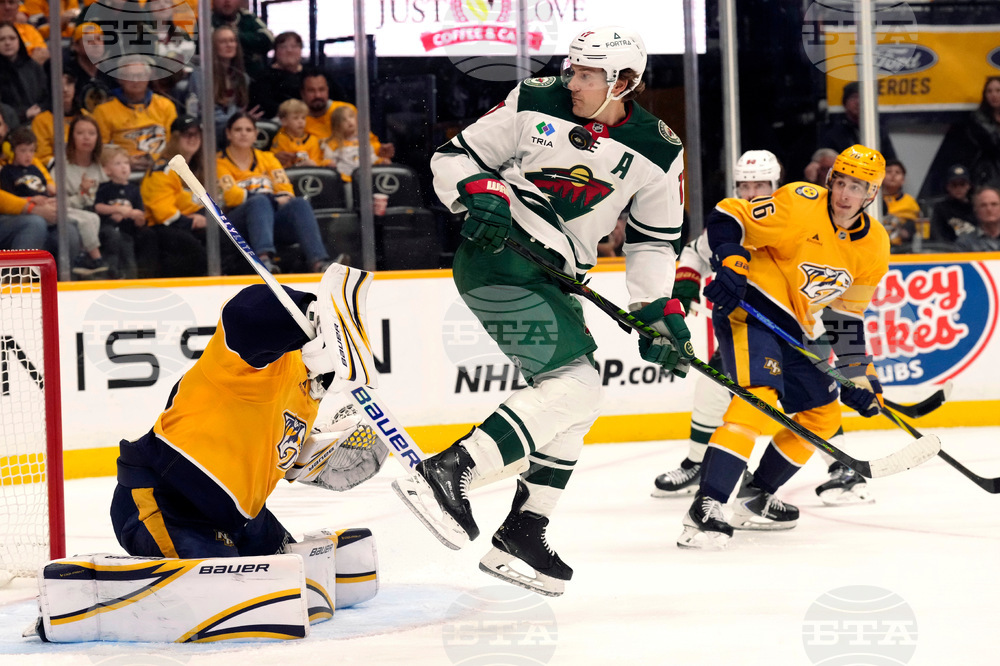 Wild Predators Hockey