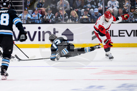 Hurricanes Mammoth Hockey