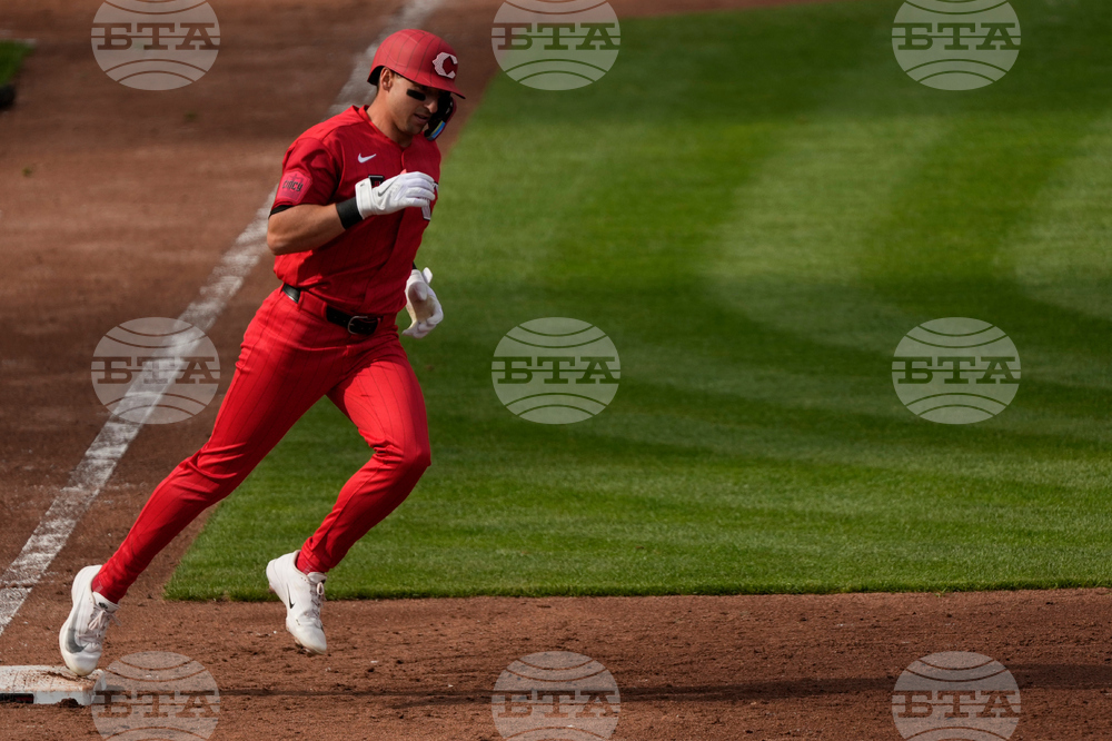 Angels Reds Baseball
