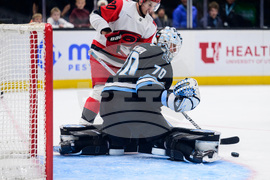 Hurricanes Mammoth Hockey