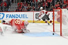 Devils Red Wings Hockey