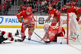 Devils Red Wings Hockey