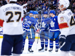 Panthers Maple Leafs Hockey
