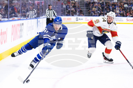Panthers Maple Leafs Hockey