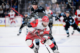 Hurricanes Mammoth Hockey