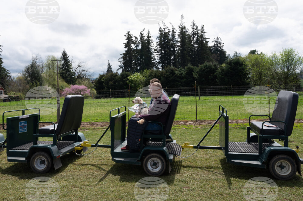 Tulip Festival Bark For Life