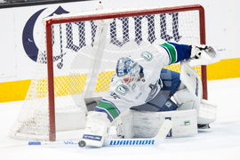 Canucks Sharks Hockey