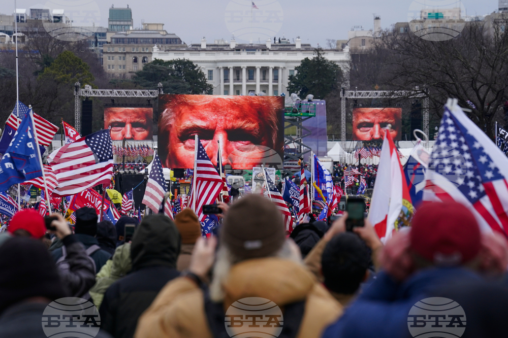Trump Never Loses