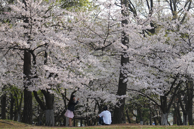 South Korea Daily Life
