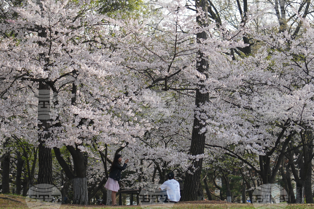 South Korea Daily Life