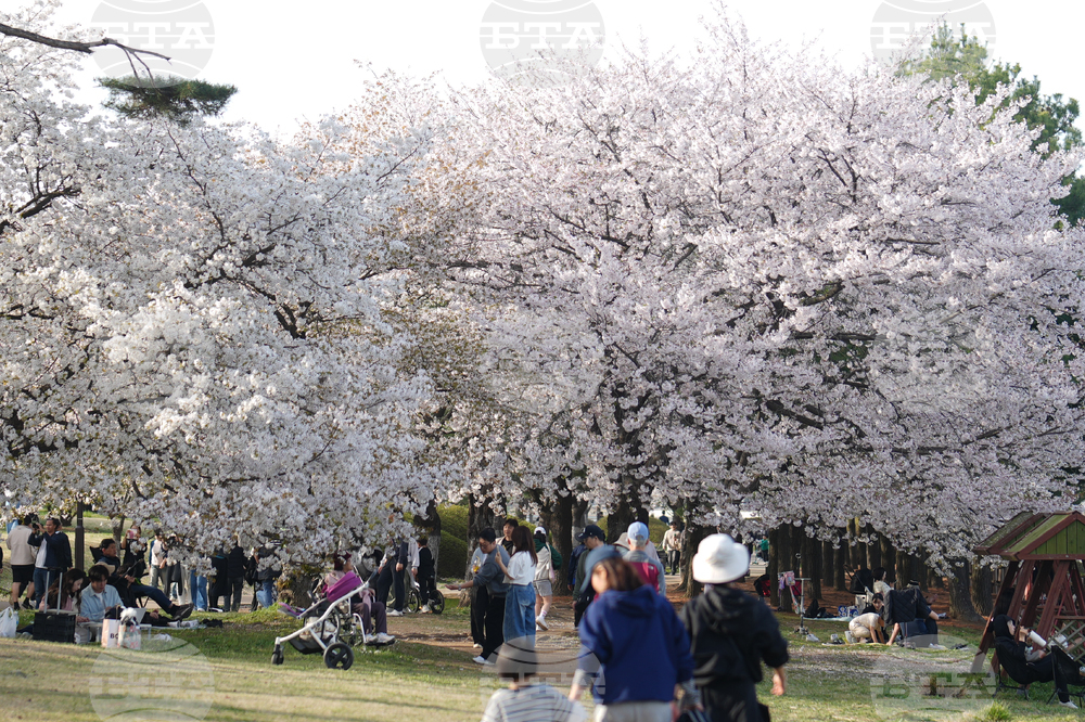 South Korea Daily Life