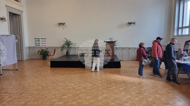 Избирателната активност на парламентарните избори в Унгария е 74,23 процента към 17:00 часа днес