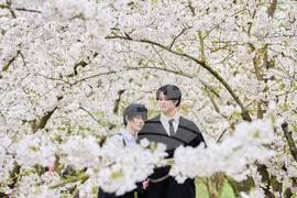 Germany Cherry Blossoms