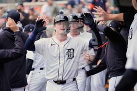 Marlins Tigers Baseball