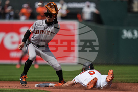 Giants Orioles Baseball