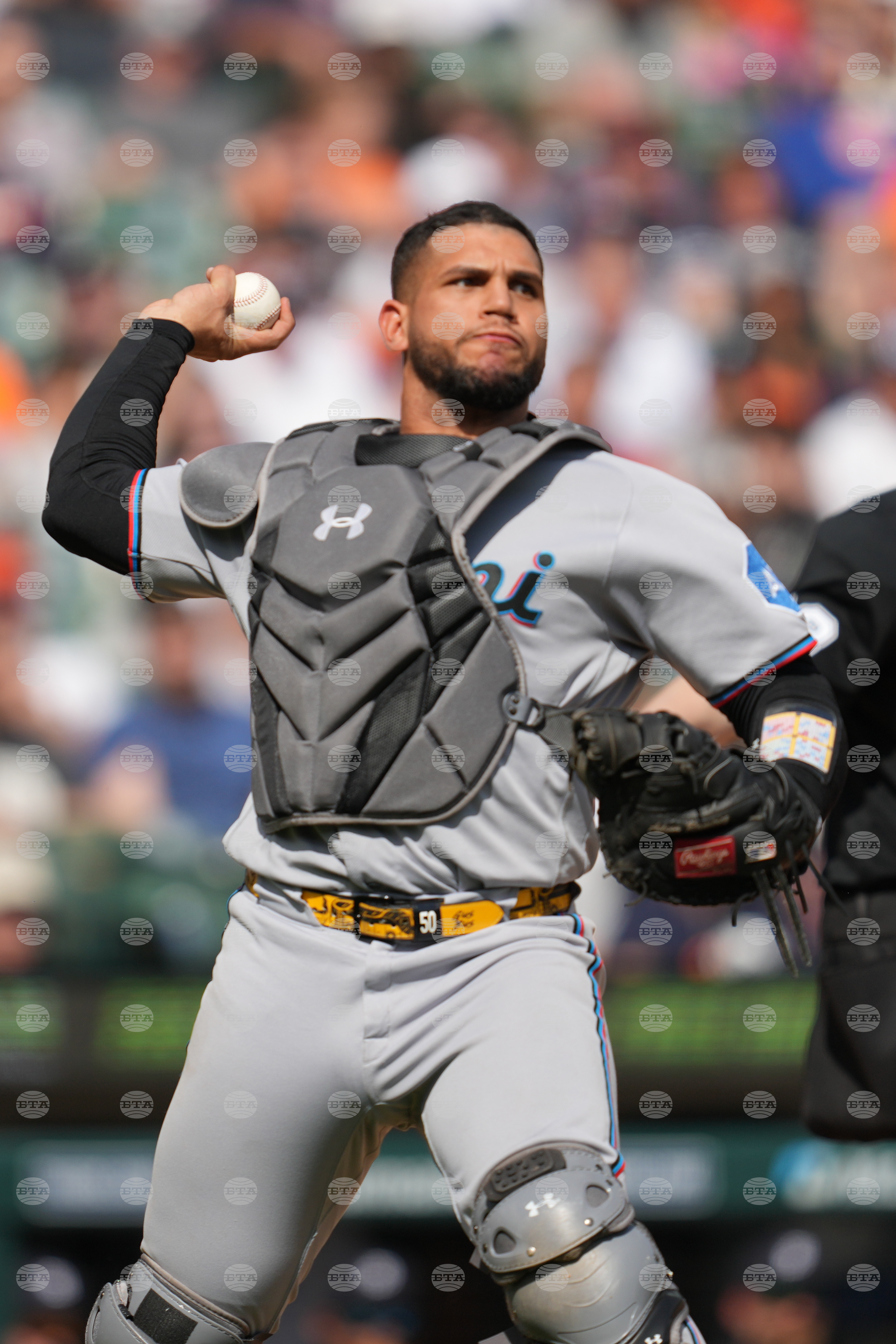 Marlins Tigers Baseball