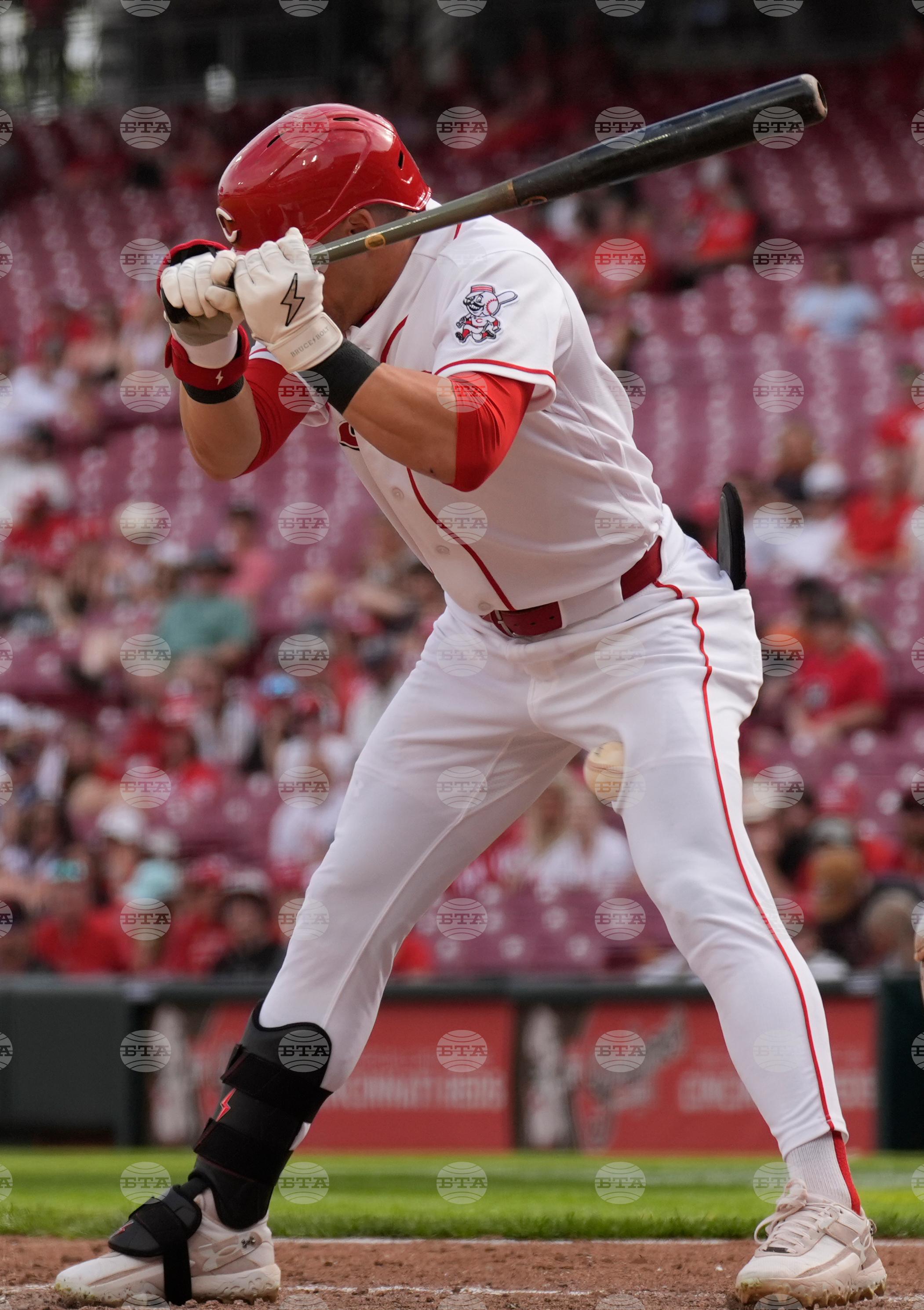 Angels Reds Baseball