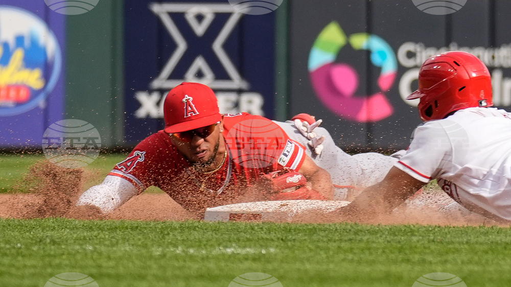 Angels Reds Baseball