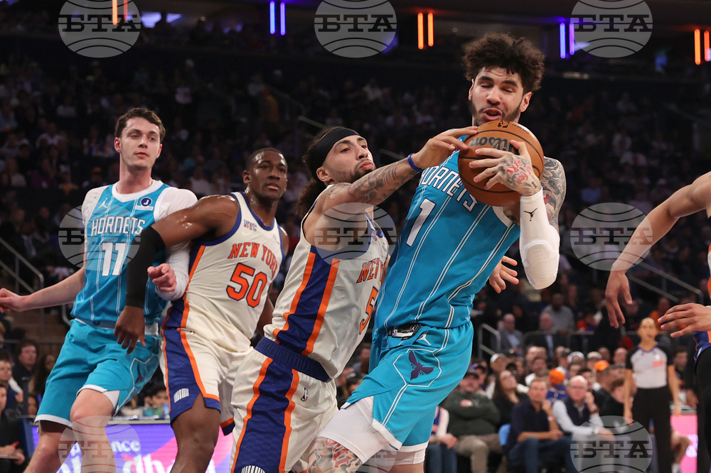 Hornets Knicks Basketball